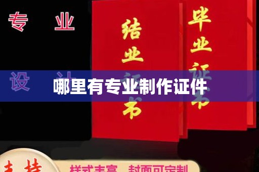南市哪里有专业制作证件